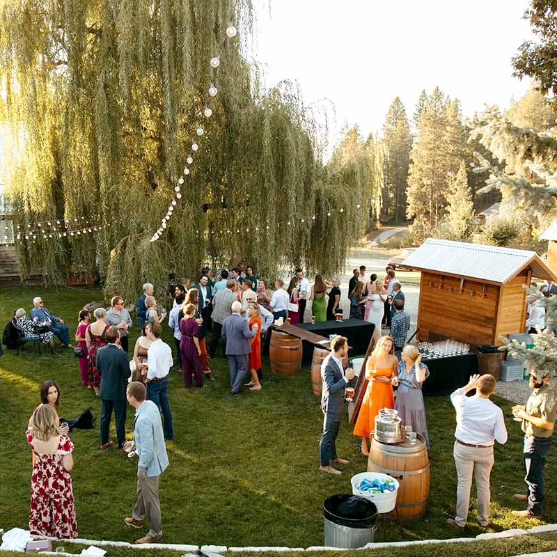 Lower East Lawn Area of Discvoery Fire